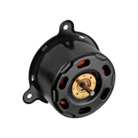 Ventilador de motor (43)