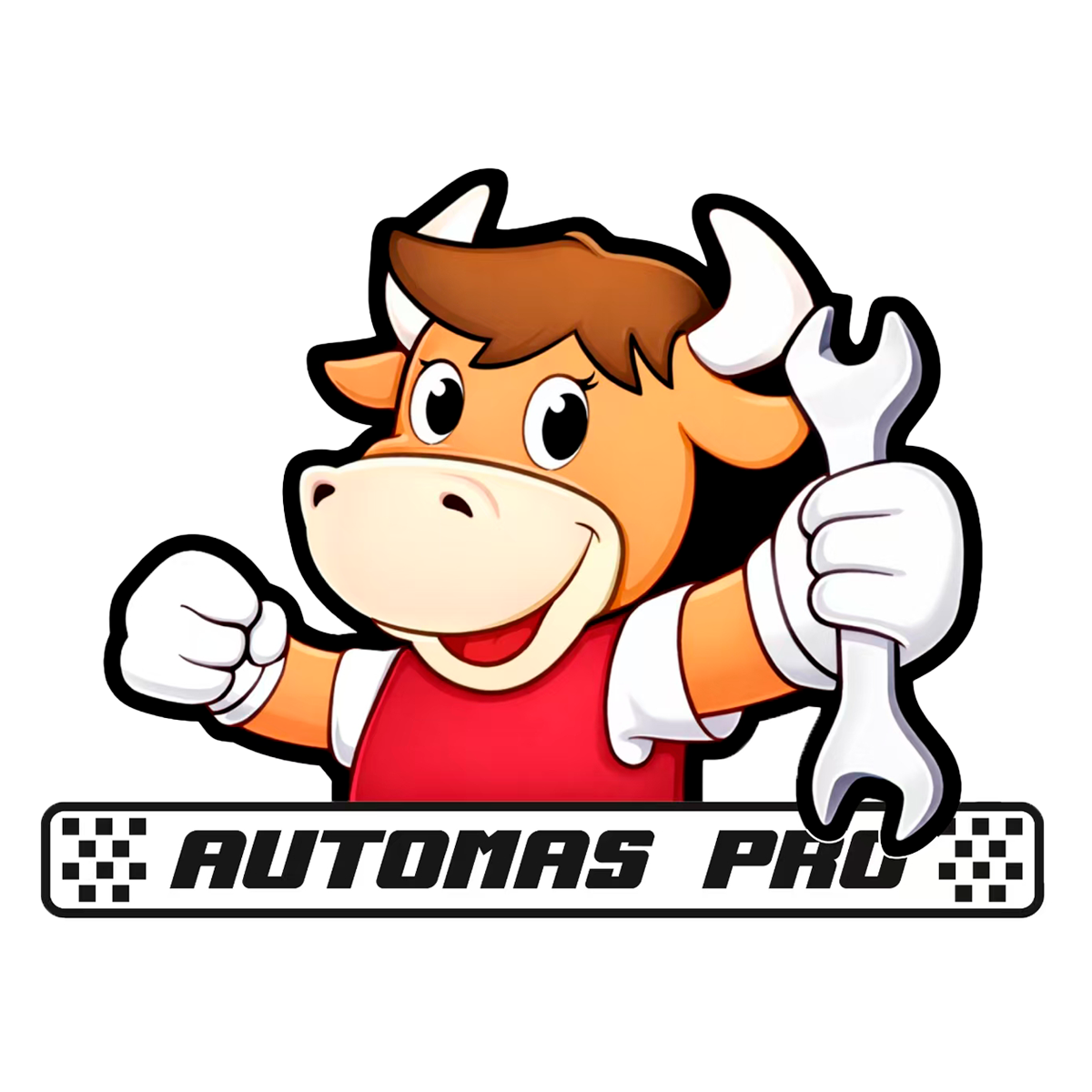 AUTOMAS-PRO